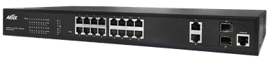 Switch PoE quản lý NTS L2 AETEK C60-164-30-250 giám sát điện năng, lưu lượng camera