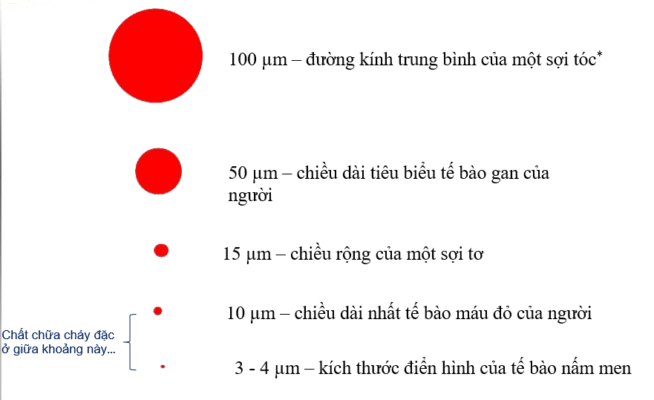 8. xtinguish la gi no hoat dong the nao