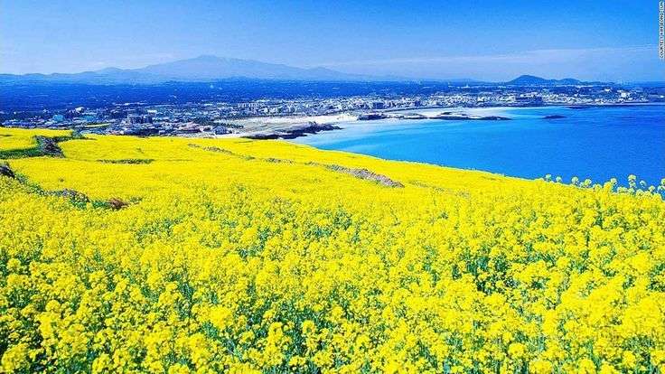 bo bien hamdeok dao jeju