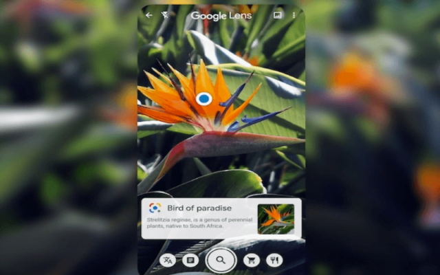 dịch tiếng anh bằng google lens